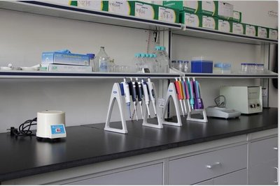 武漢上成生物科技