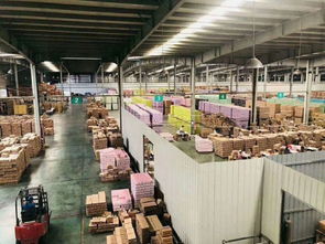 優(yōu)滋養(yǎng)膳食營養(yǎng)補充食品,以強有力產能支撐作發(fā)展后盾