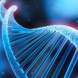 生物科技、細胞領域新業態講座