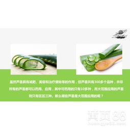 【廣州戈藍(lán)生物科技蘆薈補(bǔ)水鮮汁嫩膚系列產(chǎn)品】-