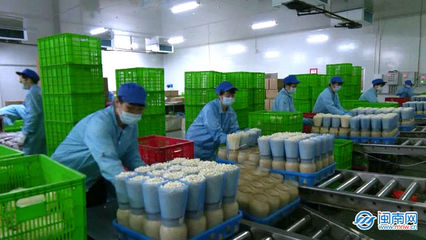 云霄 生物科技助力穩(wěn)產(chǎn)保供，讓市民“菜籃子”拎得更穩(wěn)